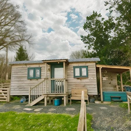Lle Mary - Beautiful Views, Hot Tub, Secluded, Dog Welcome, Barmouth Llanddwywe Extérieur photo