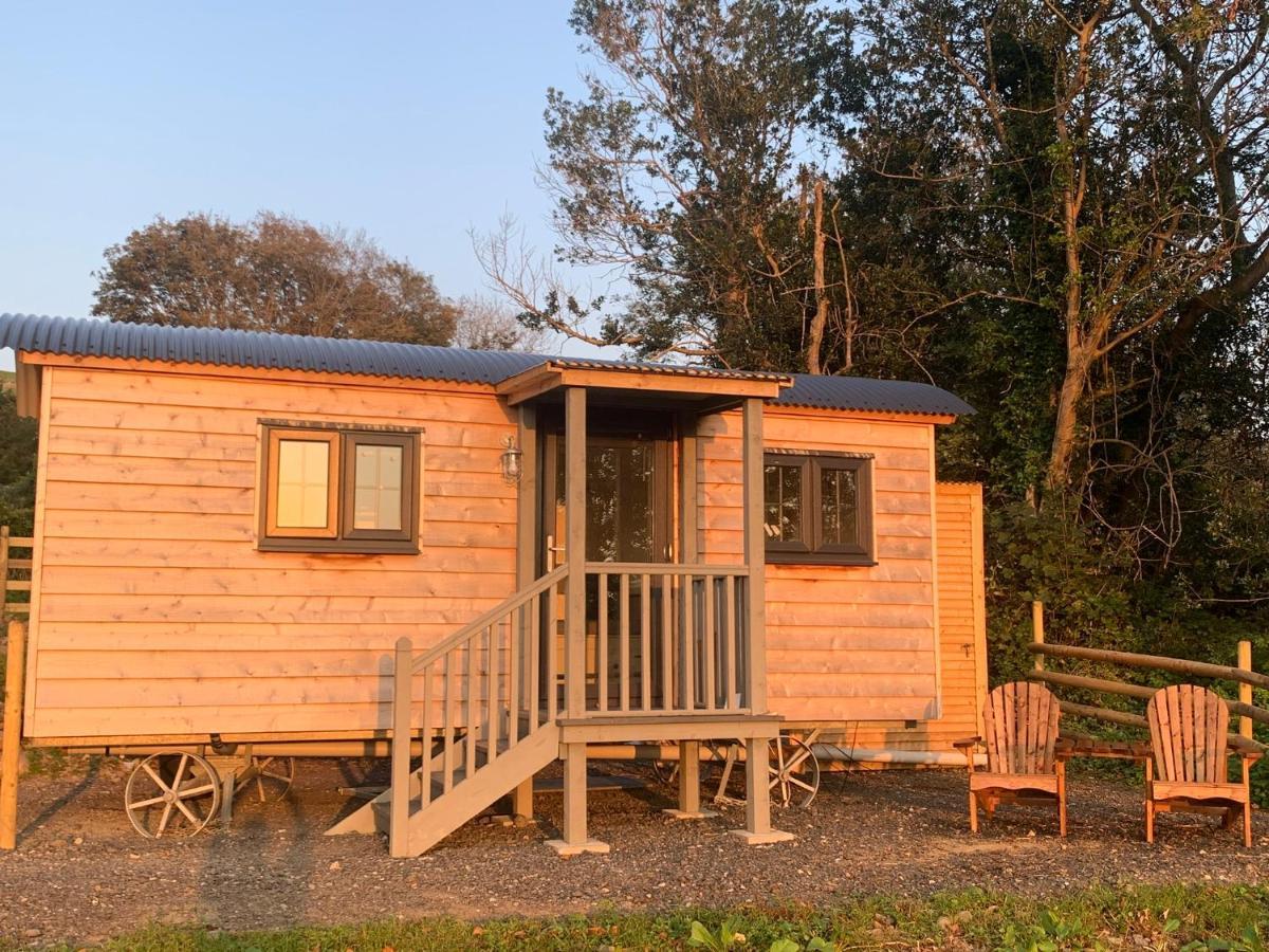 Lle Mary - Beautiful Views, Hot Tub, Secluded, Dog Welcome, Barmouth Llanddwywe Extérieur photo