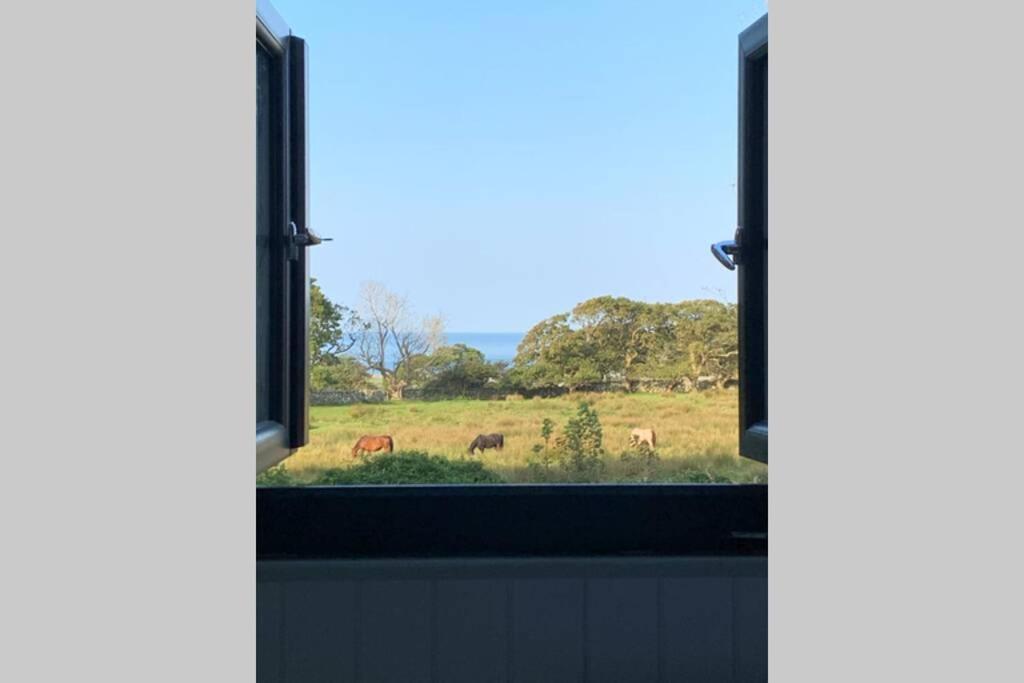 Lle Mary - Beautiful Views, Hot Tub, Secluded, Dog Welcome, Barmouth Llanddwywe Extérieur photo